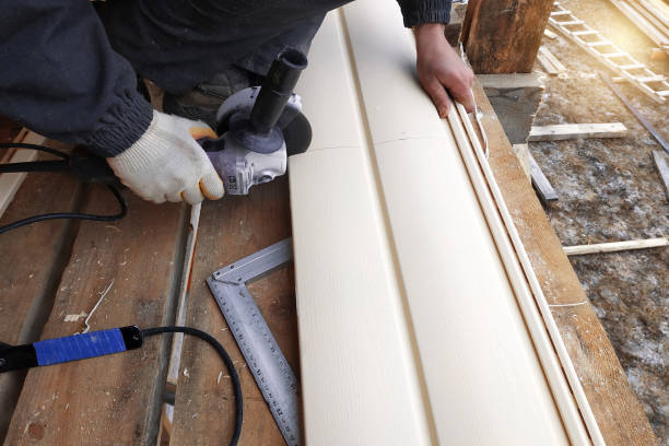Best Storm Damage Siding Repair  in Coal Run Village, KY
